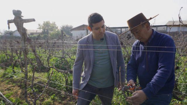 Don Segundo Daine es tercera generación de chicheros en Curacaví.