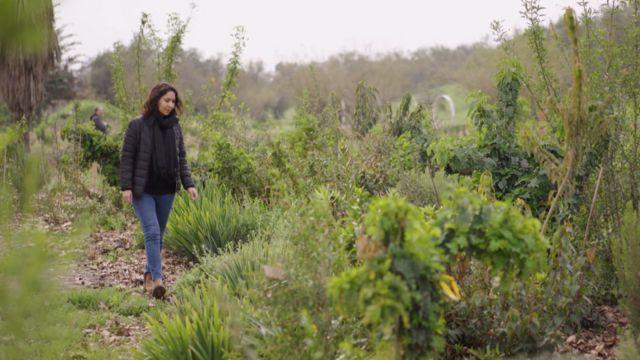 Jardín Interactivo Adriana Hoffmann, bautizado en honor de la bióloga y botánica chilena.