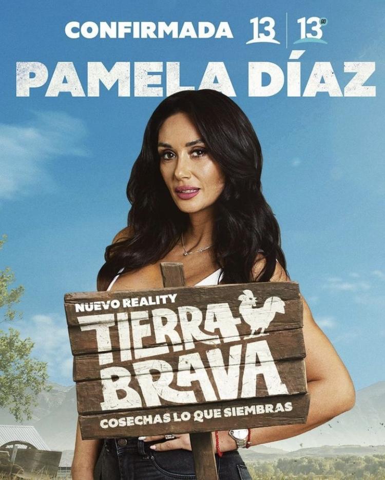 Estos son los hitos de Pamela Díaz en los realities de Canal 13