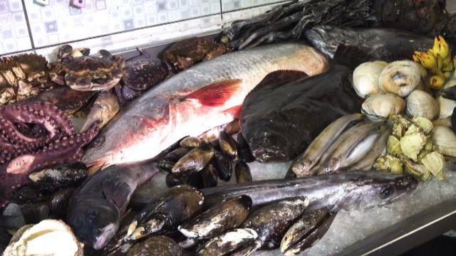 Productos del mar que esperaban al conductor del programa.