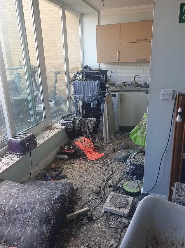 Palomas provocaron millonarios daños en departamento