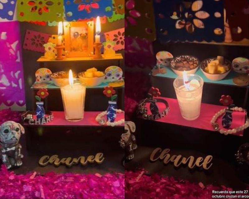 Hoy se celebra el Día de Muertos de las mascotas con altares y flores