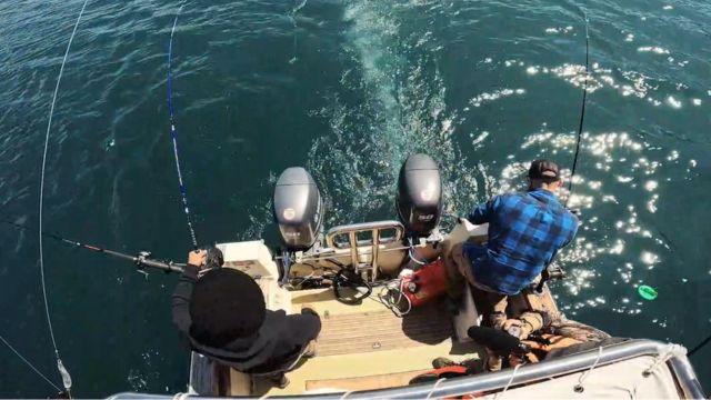 Los amigos Héctor Ruiz, Alejandro Moenne y Ramón Barría, se adentraron en las aguas de la boca del río Petrohué a pescar salmones usando la técnica del trolling.