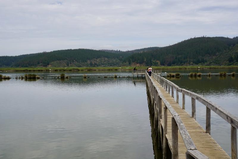 Barrancas, O'Higgins reconocida por importante institución de turismo