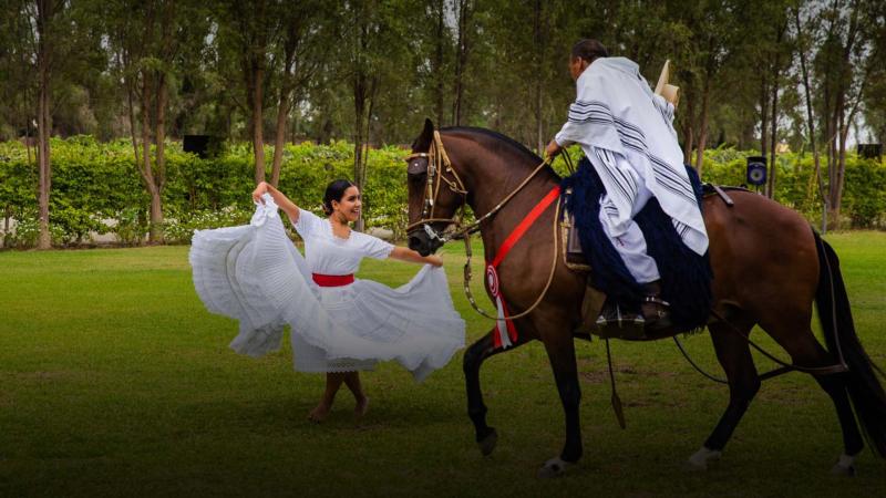 Caballo de paso bailando La Marinera, el mismo usado en Tierra Brava