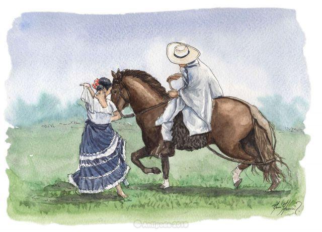 Ilustración espectáculo ecuestre caballo de paso bailando marinera