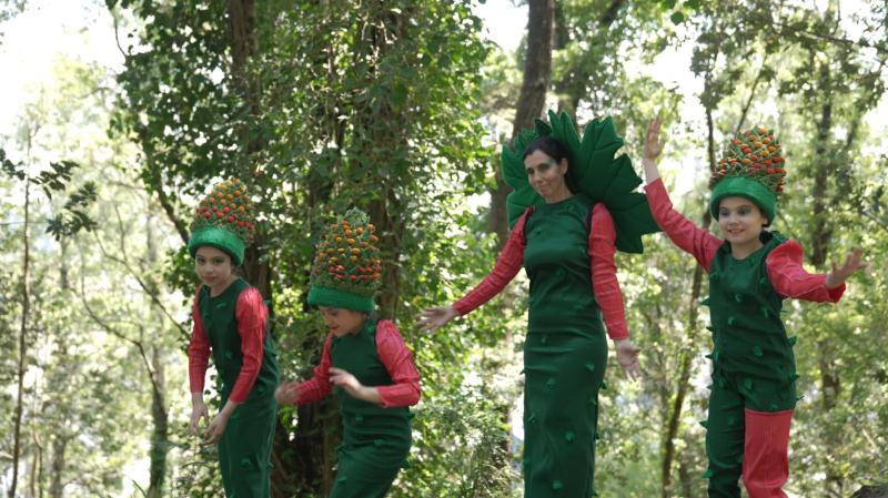 “Carnaval del Sur”: Llega a 13C la serie documental que retrata un festival único en el mundo