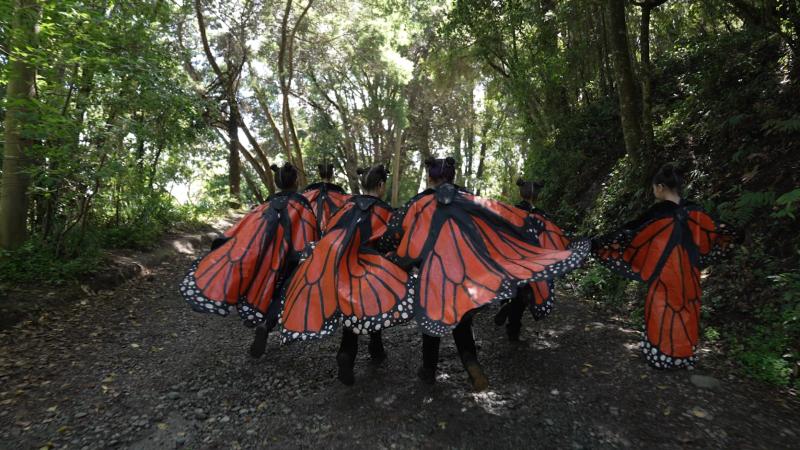 “Carnaval del Sur”: Llega a 13C la serie documental que retrata un festival único en el mundo