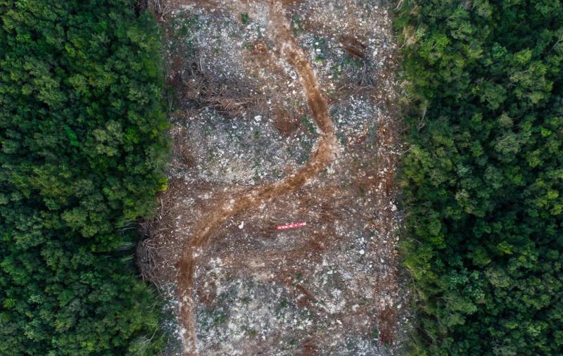 Efectos del Tren Maya en el Yucatán / Fotografía de Fernando Martínez Belmar / Ladera Sur