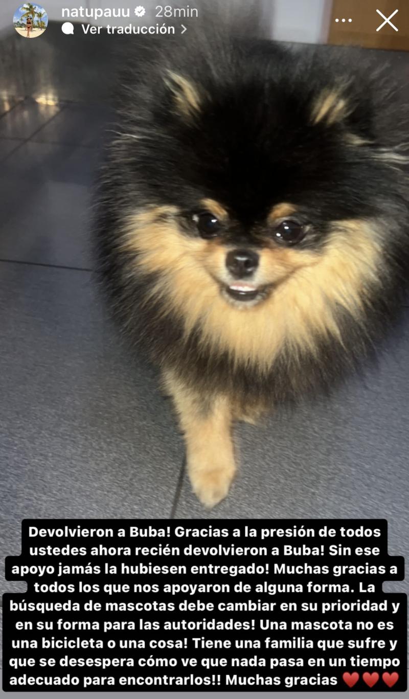 Apareció mascota de Julio César Rodríguez