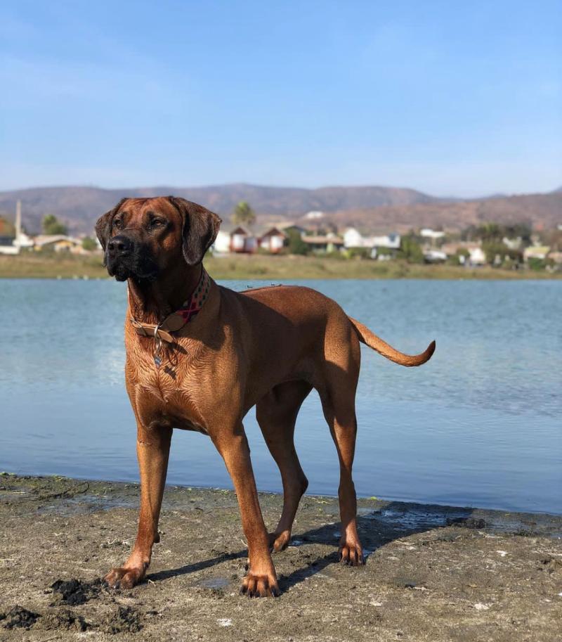 Mayte Rodríguez - Instagram