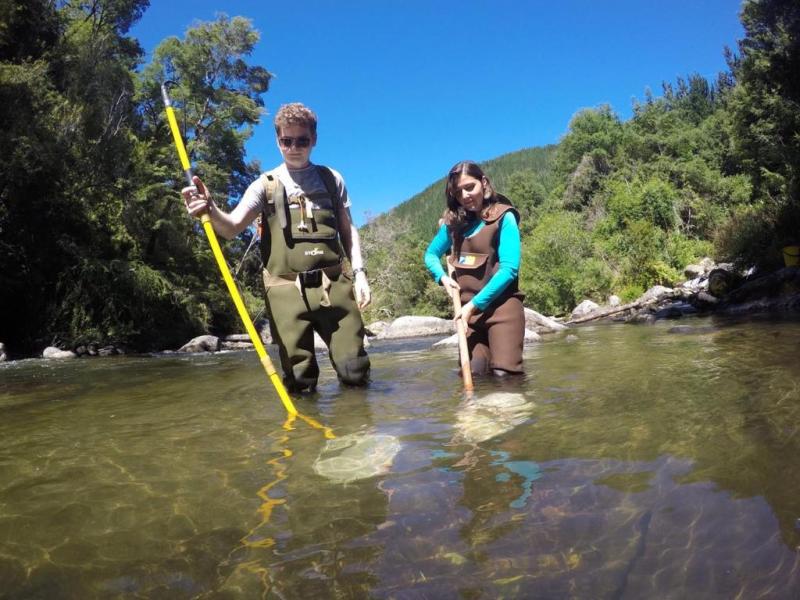 Peces descubiertos en el sur de Chile