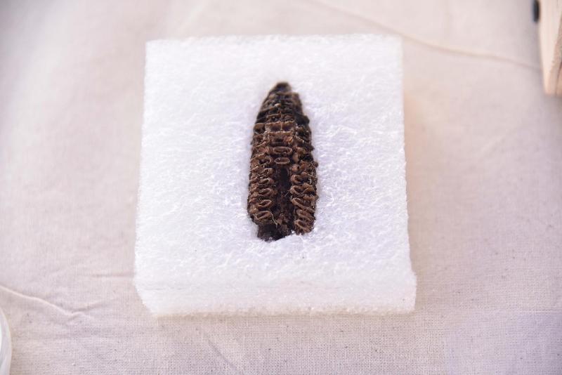 Punta de flecha que Metro encontró en faenas