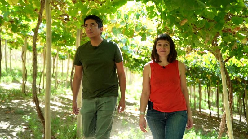 ¡Vuelve "Locos x el vino"! Descubre cómo nacen y se desarrollan los pequeños proyectos viñedos del país