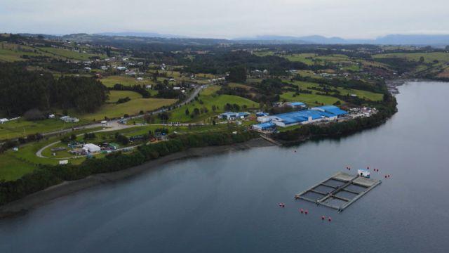 La planta de "Salmones Antártica" se encuentra en Chonchi, Chiloé.