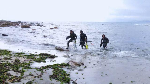 Jorge Grebe, buzo deportivo, junto al conductor y a Bárbara González, dueña de la Escuela de buceo Quirilluca, se fueron de pesca.