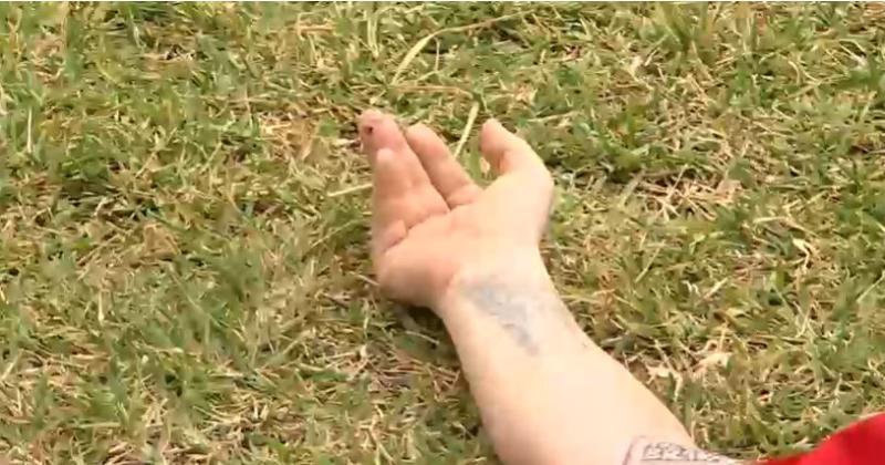 Junior Playboy - Tierra Brava