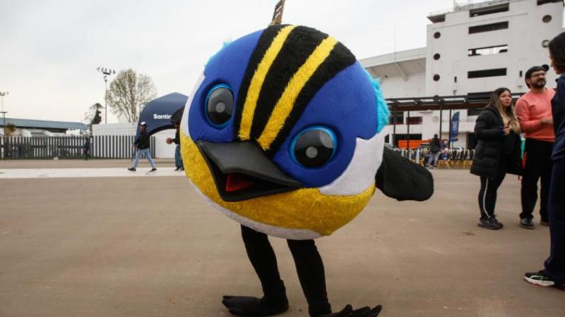 Locura por Fiu: atleta brasileño gastó más de medio millón de pesos en peluches y pines