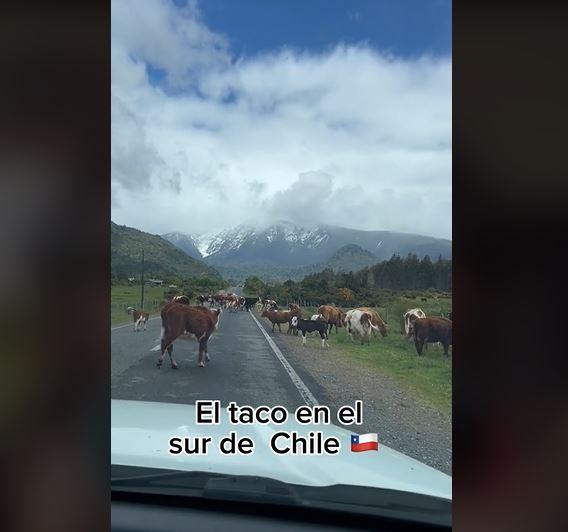 “Toda la magia del sur”: Tiktoker muestra cómo es un taco en el sur de Chile