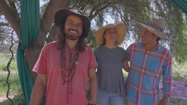 Rosa damascena, cultivada y recolectada por Gonzalo y Lua, creadores de Native Rose Chile