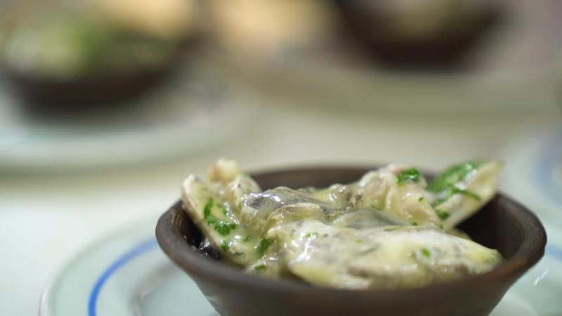 Cococha de merluza austral