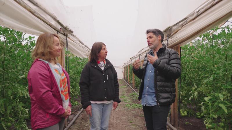 Agricultura tradicional vs agricultura regenerativa