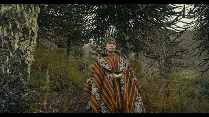 Inmersión en la Mapu / GAM