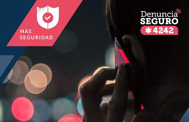 Programa Denuncia Seguro.