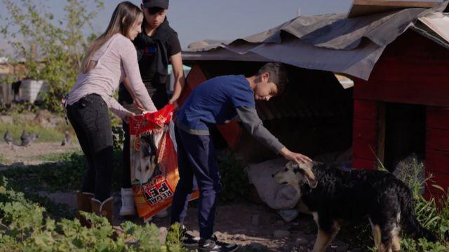 Ximena Bahamondez junto a sus hijos rescata y alimenta animales abandonados en la calle