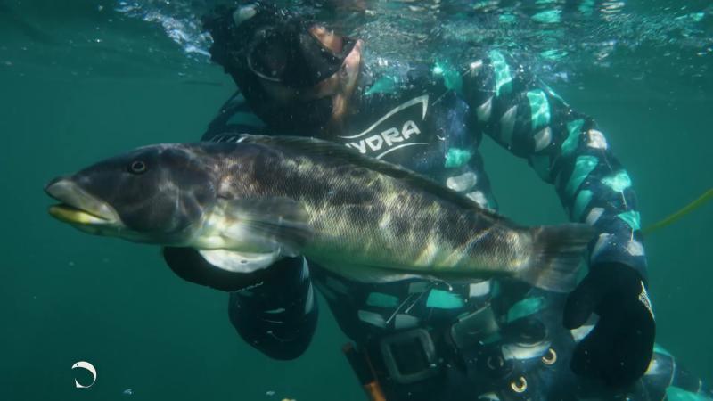 buceo en apnea y pesca submarina.