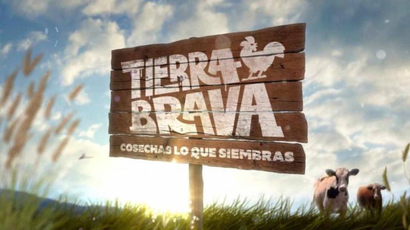 Junior Playboy - Tierra Brava