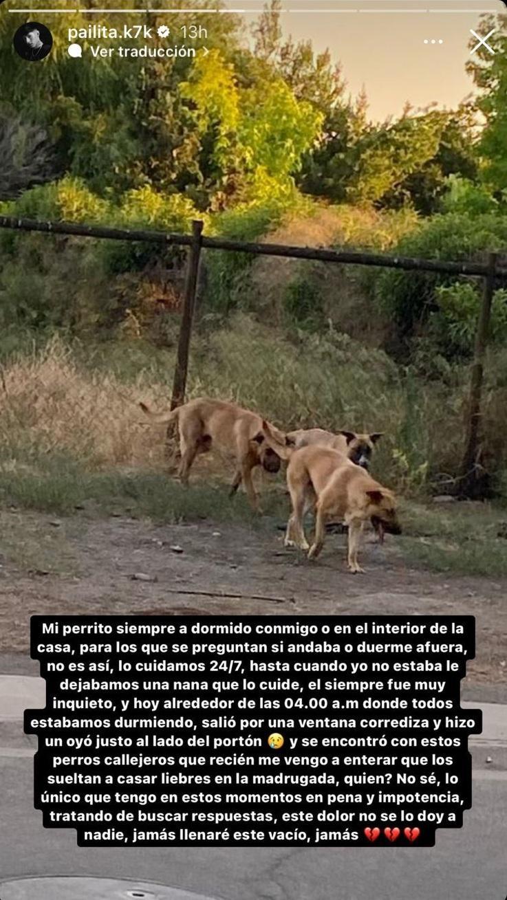 Descargos de Pailita