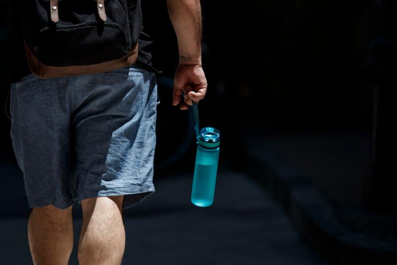 ¡Sube la temperatura! Revisa las recomendaciones para proteger a tu mascota en esta ola de calor