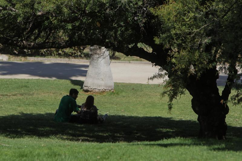 ¡Sigue el calor extremo! Así estará el tiempo este domingo 10 de diciembre en Santiago