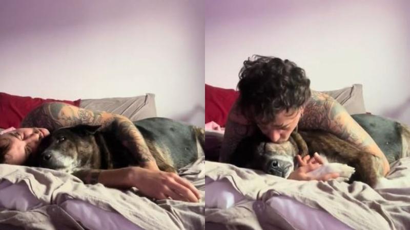 “Sigo pensando que aparecerás”: joven conmueve las redes sociales al despedirse de su perro