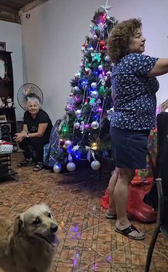 ¡A lo que vine fue a esto! Perrito saca risas por particular forma de recibir regalo