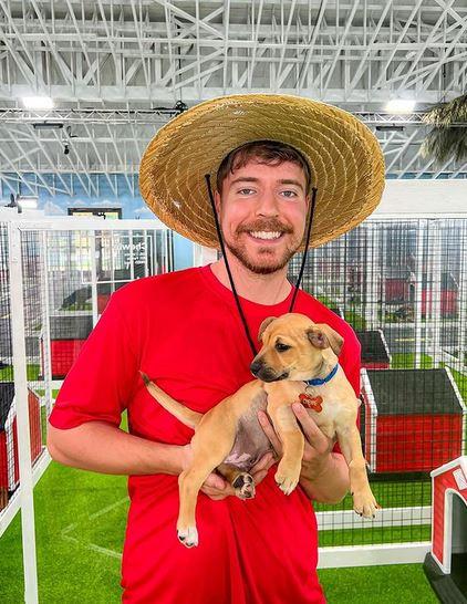 ¡Otra más de Mr Beast! Rescató 100 perros abandonados y los dio en adopción