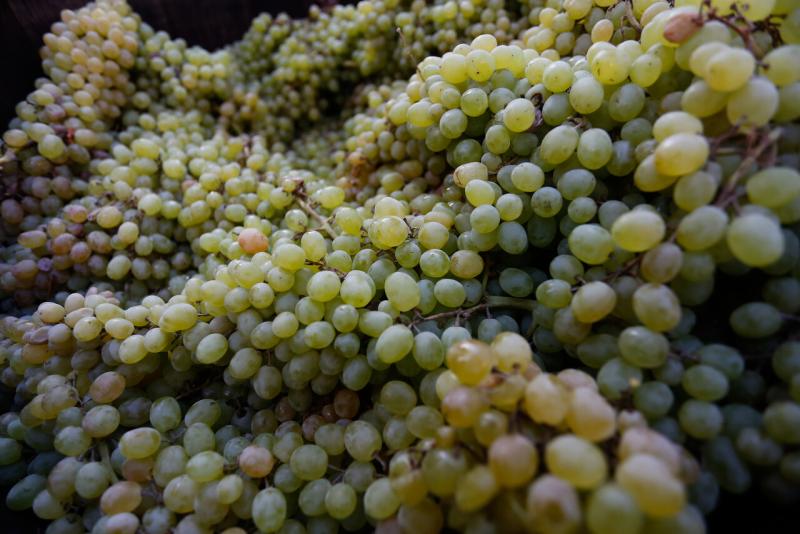 Cábala de Año Nuevo: Por qué comer uvas, a qué hora y qué significa