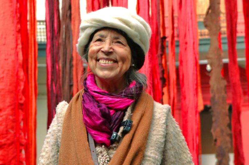 Cecilia Vicuña - El Giornalista