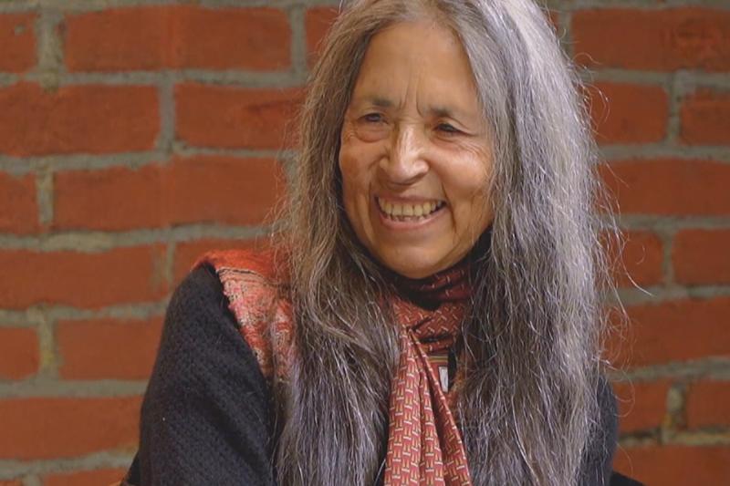 Cecilia Vicuña - El Giornalista