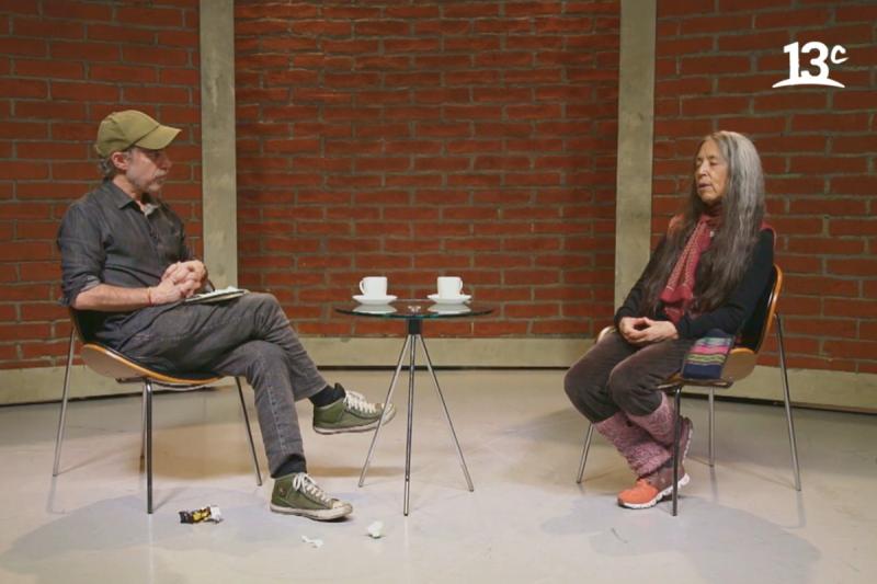 Cecilia Vicuña - El Giornalista