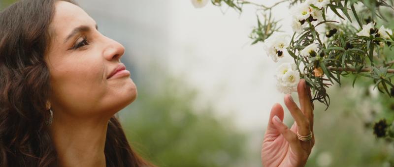 Energía Infinita: Segunda temporada