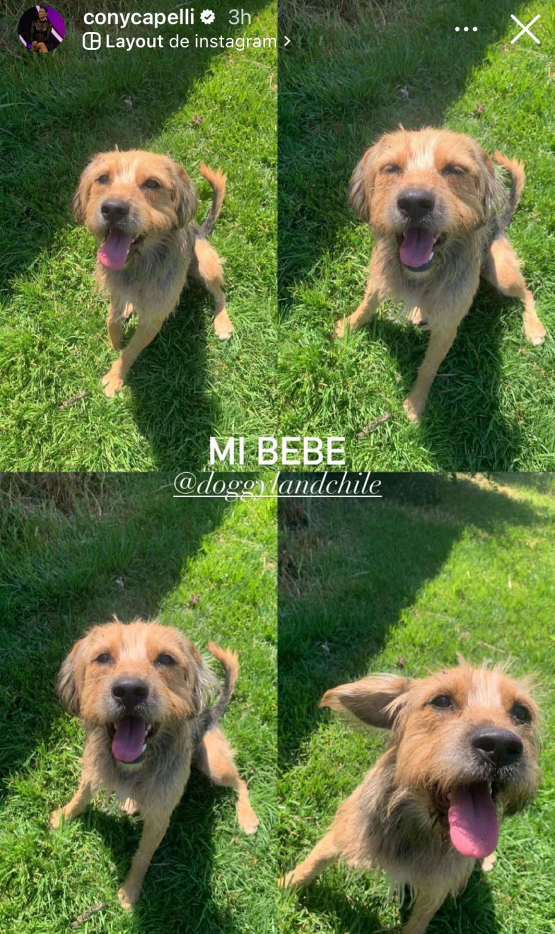 Cony Capelli - Instagram