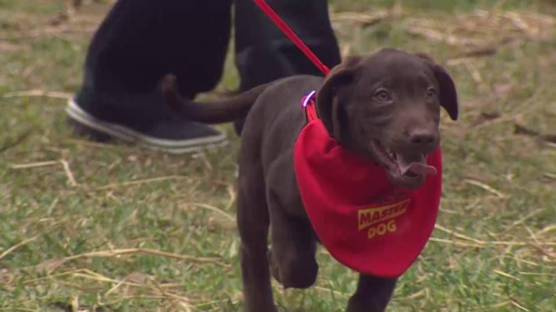 Canelo, el nuevo guapetón de Tierra Brava
