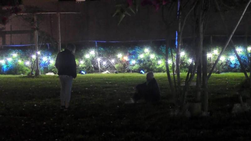 Fabio Agostini conversa con Junior Playboy sobre la trampa de Pamela