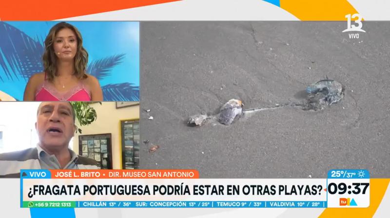 ¿Cómo tratar un ataque de una fragata portuguesa?