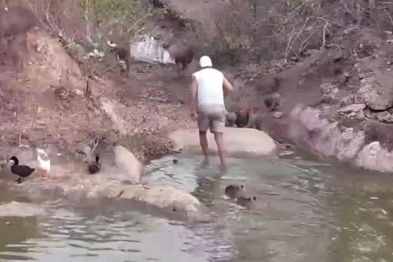 Frank Cuesta - Captura