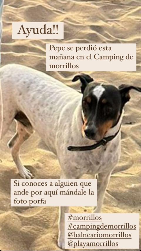 Llamado de Luz Valdivieso y Marcial Tagle