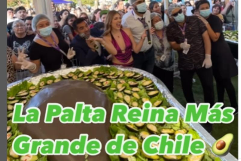La palta reina "más grande de Chile"