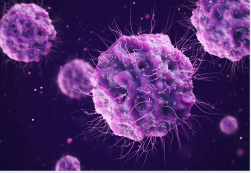 Ejemplo de un virus - Créditos: Pixabay